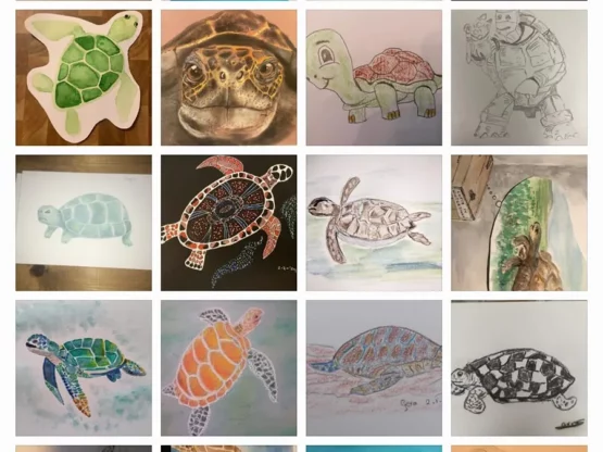 Teken 10 daagse creaties van een schildpad